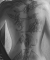 Lylandris Tattoos auf dem Rücken. Die Drachen sind an die obersten Drachen des Grünen Drachenschwarms angelehnt.